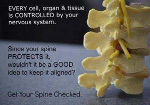 Chiropractic