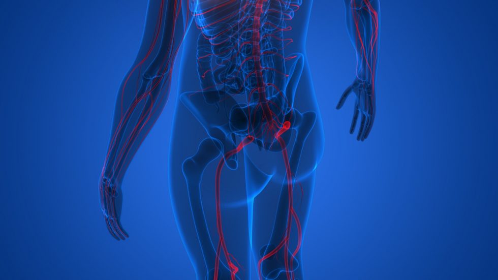 What is sciatica pain? - Peak Chiropractic Centre | Cape Town